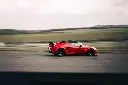 Lotus Cup